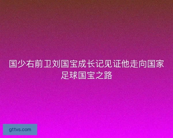 国少右前卫刘国宝成长记见证他走向国家足球国宝之路